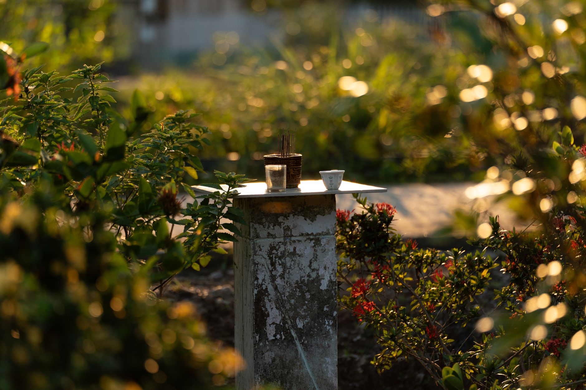 Small outdoor spirit shrine with incense sticks and an offering cup, surrounded by greenery at sunset